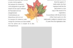 加拿大商标滥用的原因