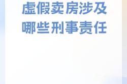 虚假交易描述正确的是