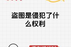 盗图侵权来了传票怎么处理