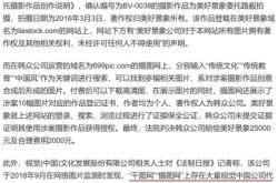 淘宝被人盗图侵权怎么办