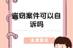 怎么起诉盗图侵权行为