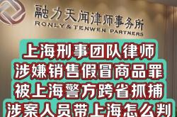 违规滥用商标或近似商标罪