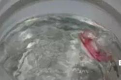 奶嘴抽检不合格