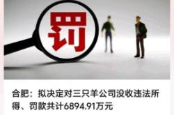 信息层面售假不想被罚款怎么办