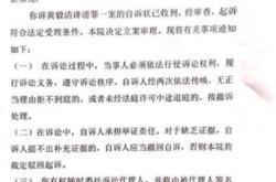 起诉侵权盗图起诉书怎么写