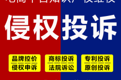 侵权盗图的意思是什么