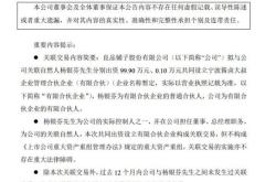 虚假关联交易违法法律规定