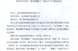 滥用商标异议程序怎么写