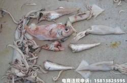 闲鱼违规侵犯著作权吗