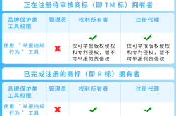 亚马逊盗图侵权信息怎么办