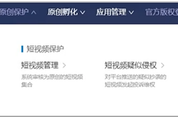 摄影图盗图侵权案例分析