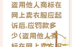 盗图侵权赔钱怎么处理的