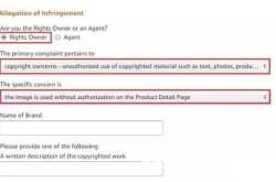 产品盗图侵权申诉流程怎么写