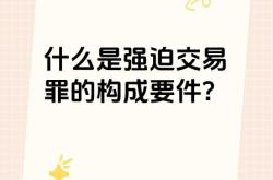 虚假交易受到什么惩罚呢