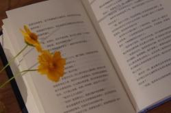 虚假交易密码文案英文怎么写