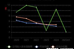 大连电瓷虚假交易事件