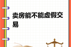 判定虚假交易的逻辑依据