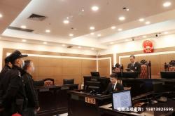 虚假诉讼交易房产再审怎么处理