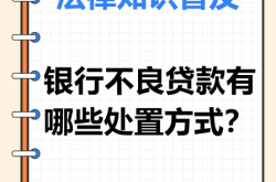 虚假抵押交易个人借款怎么处理