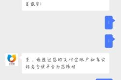 交易猫虚假付款记录怎么看