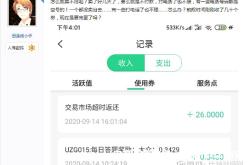 怎样查看虚假交易明细记录