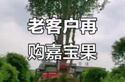 老顾客回购虚假交易怎么处理