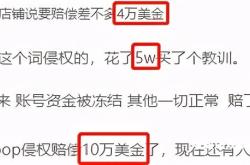侵犯商标权可以申诉几次吗