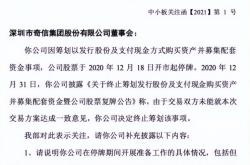 国有资产虚假交易怎么处理