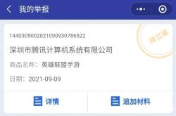 举报同行虚假交易600字