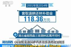 虚假交易骗取政府补贴怎么办