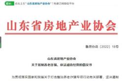 虚假地产交易处罚规定最新