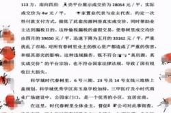 虚假交易背后的故事有哪些