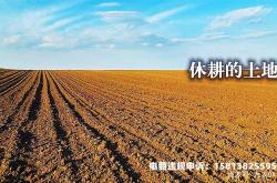 虚假交易土地法规有哪些