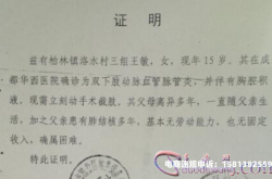 虚假交易证明怎么写的