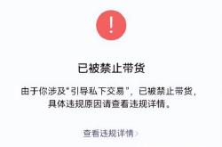 虚假交易未作单独规制处罚