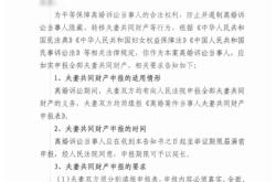 临沂虚假交易案件查询系统