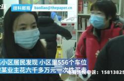 车位虚假交易违法吗怎么处理