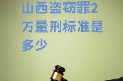 多次盗窃虚假交易罪量刑标准