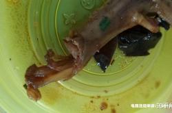 外卖虚假交易怎么投诉商家