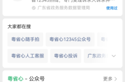 房产虚假交易哪里举报最有效