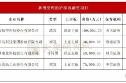 交易所虚假增发股票