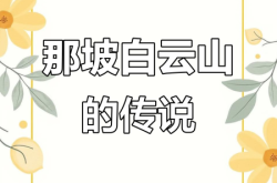 白云山虚假交易