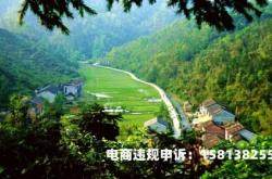 平邑虚假交易案件判决书