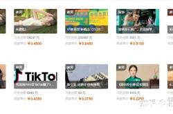 跑淘客虚假交易怎么处理