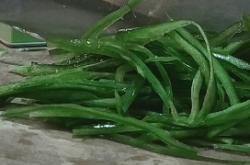 滥用青椒商标违法吗