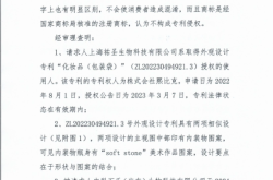 外观设计专利侵权纠纷案