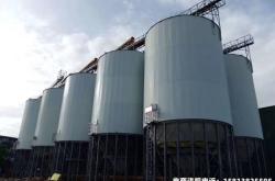 陕西粮食购销虚假交易案例