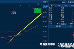 金亚科技虚假交易事件