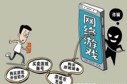 平台虚假交易案例分析报告