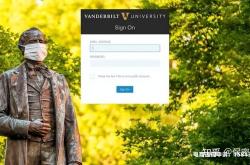 阿里邀约订单虚假交易怎么处理